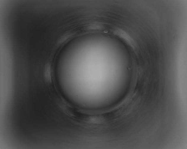 X0000101390345200807071202