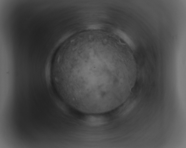 X0000101390346200807071202