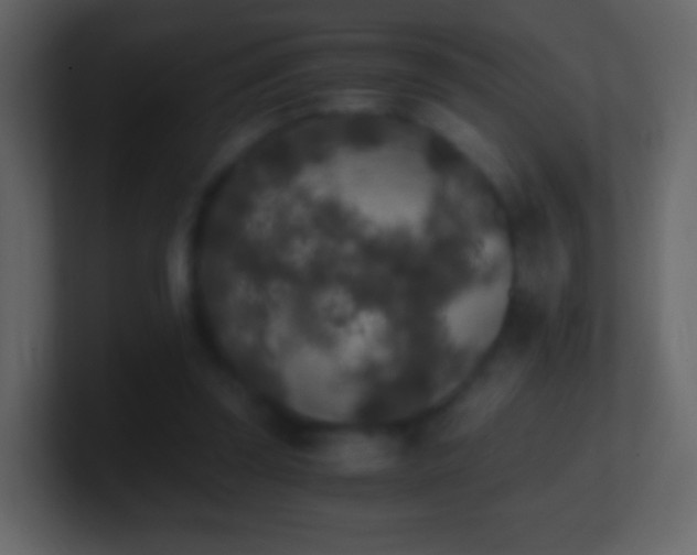 X0000101390347200807071202