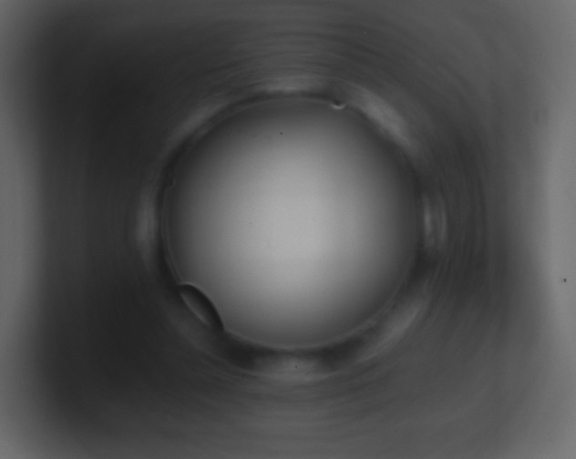 X0000101390348200807071202