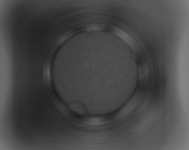 X0000101390349200807071202