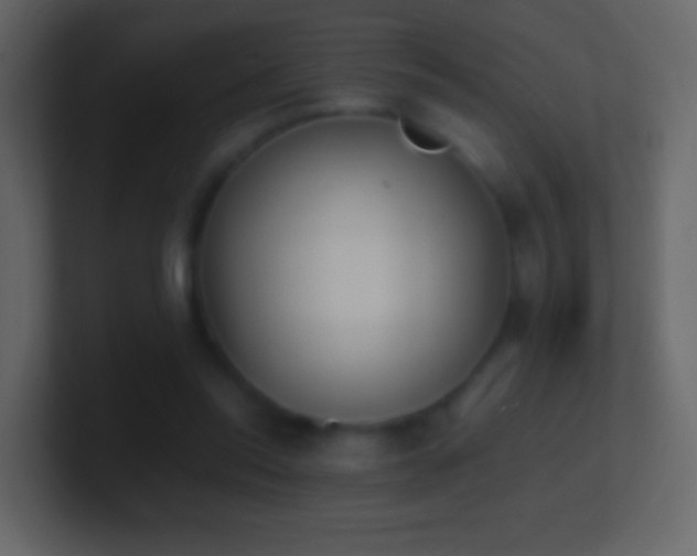 X0000101390350200807071202