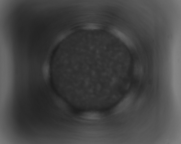 X0000101390351200807071202