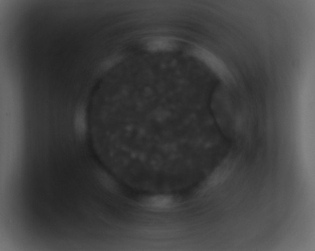 X0000101390353200807071202