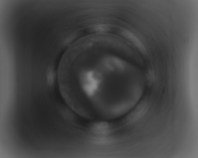 X0000101390355200807071202