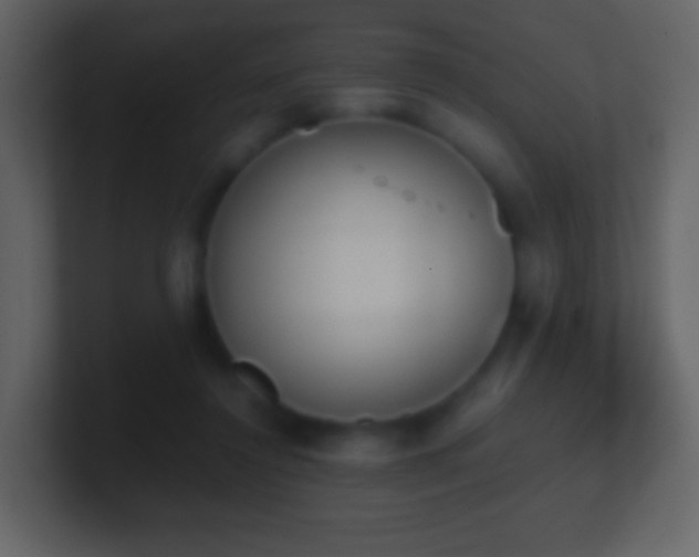 X0000101390356200807071202