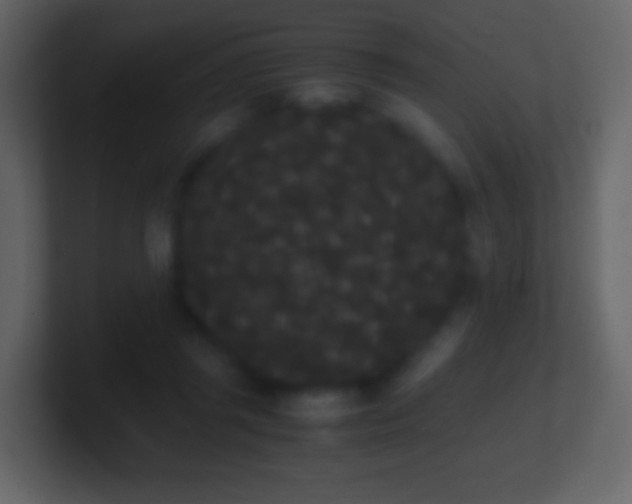 X0000101390357200807071202