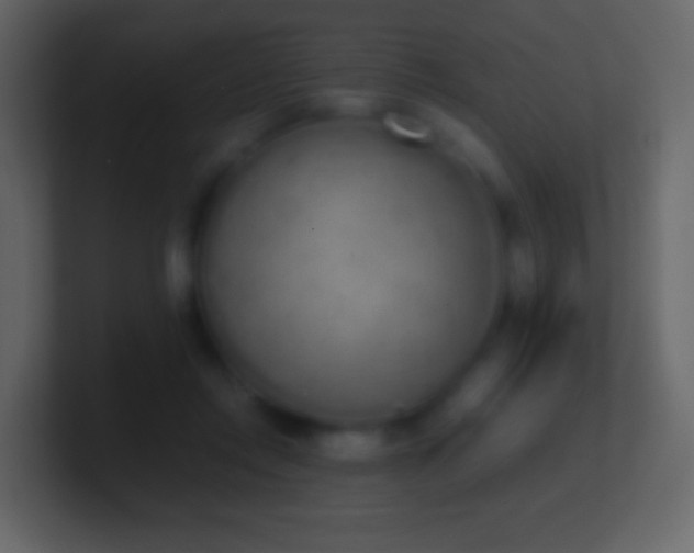 X0000101390358200807071202