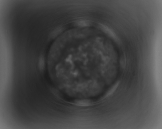 X0000101390359200807071202