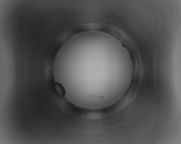 X0000101390360200807071202