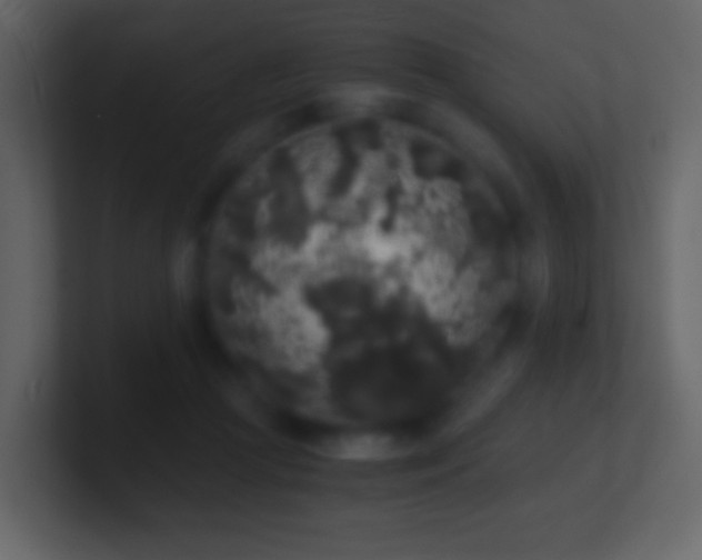 X0000101390361200807071202