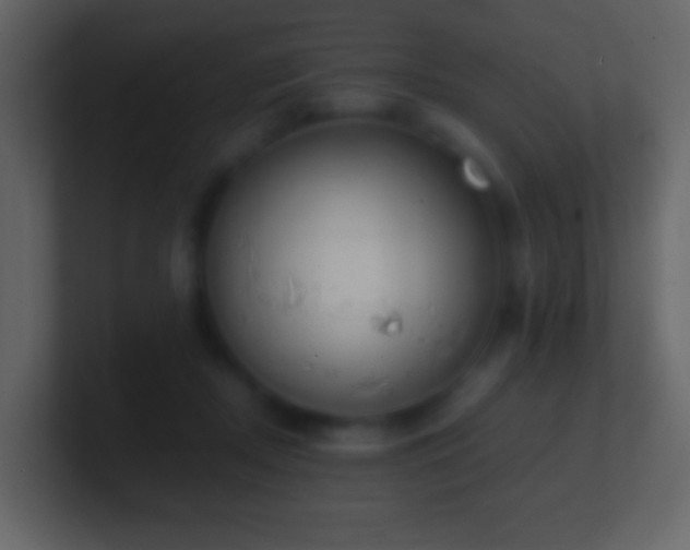 X0000101390362200807071202