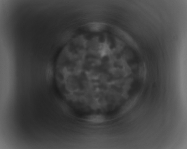 X0000101390363200807071202