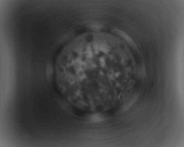 X0000101390365200807071202