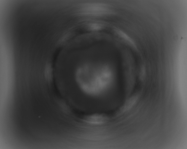 X0000101390366200807071202