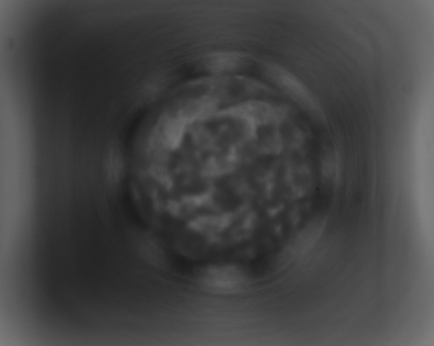 X0000101390367200807071202