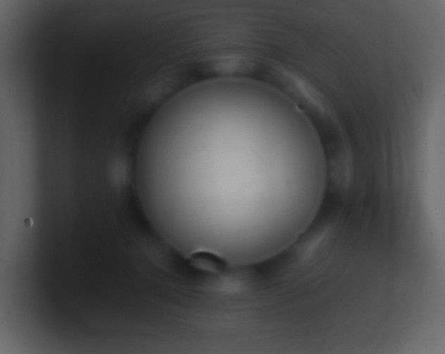 X0000101390368200807071202