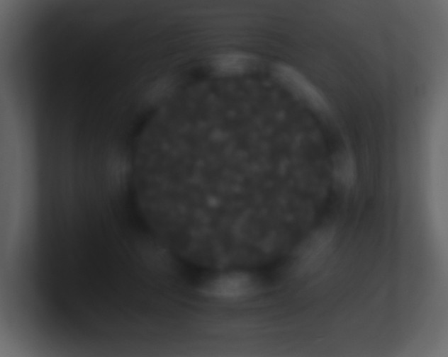 X0000101390369200807071202