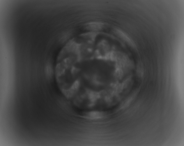 X0000101390371200807071202