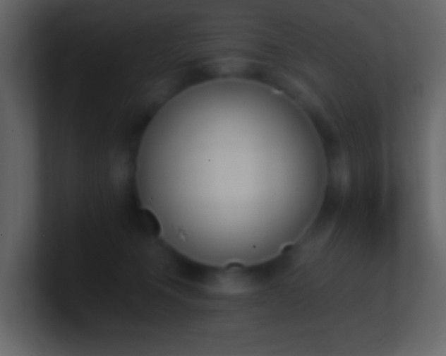 X0000101390372200807071202