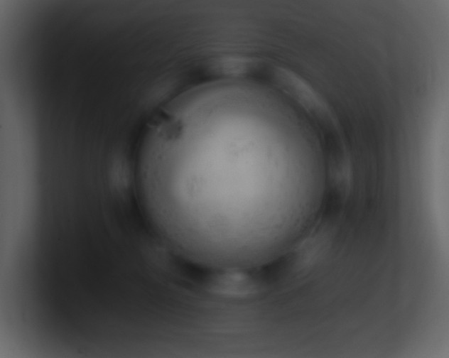 X0000101390374200807071202