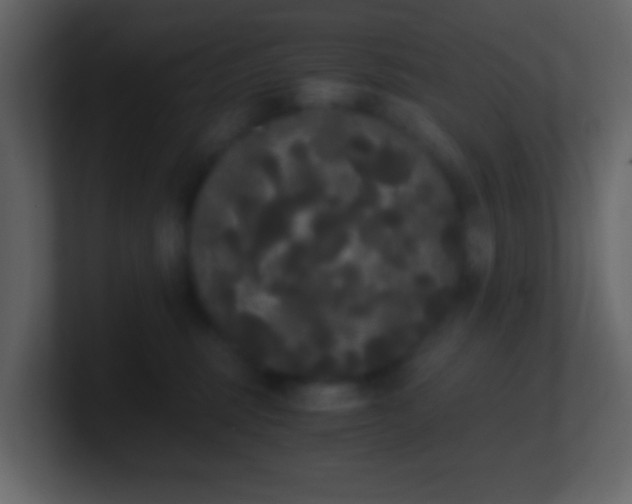 X0000101390375200807071202