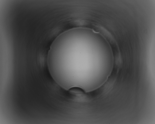 X0000101390376200807071202