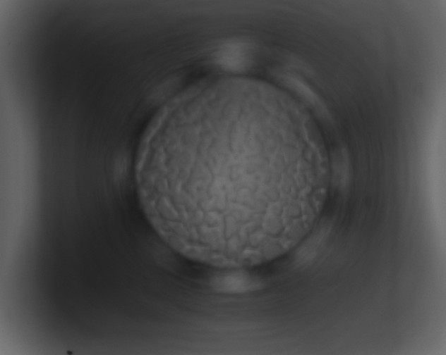 X0000101390377200807071203