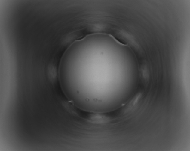 X0000101390380200807071203