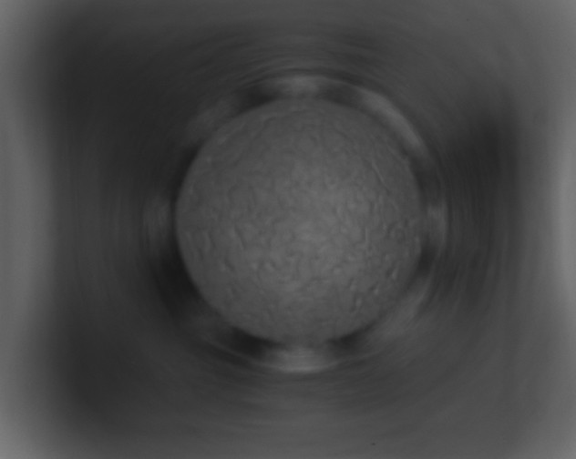 X0000101390381200807071203