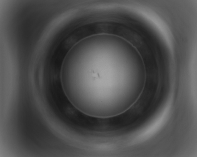 X0000101390382200807071203