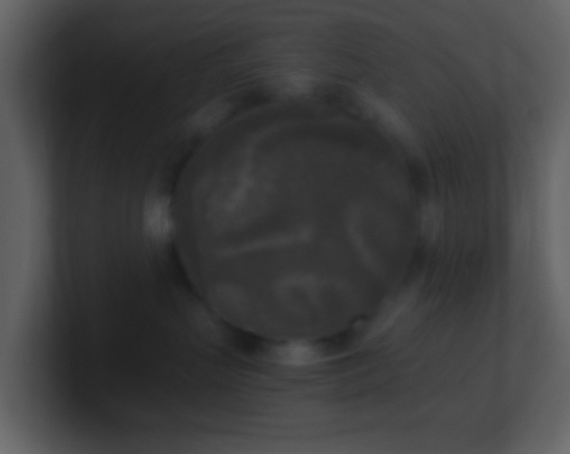 X0000101390383200807071203