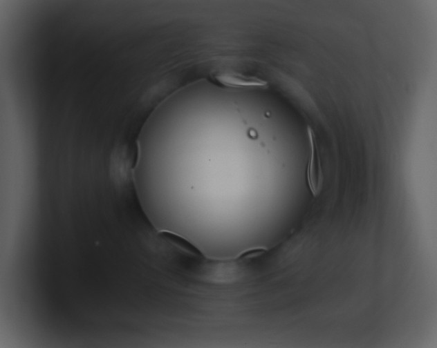 X0000101390384200807071203