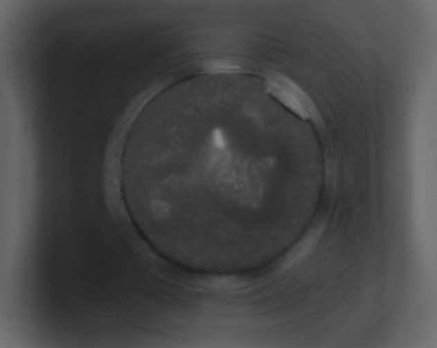 X0000101390385200807071202