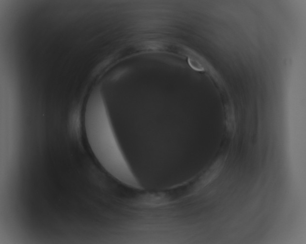 X0000101390386200807071202