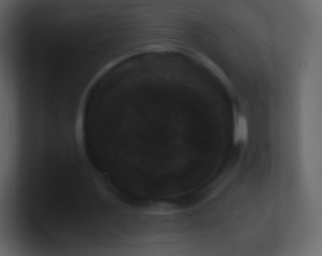 X0000101390387200807071202