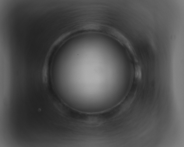 X0000101390388200807071202