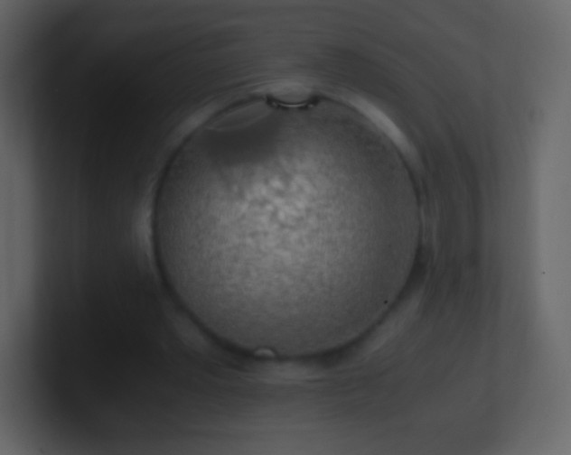 X0000101390389200807071202