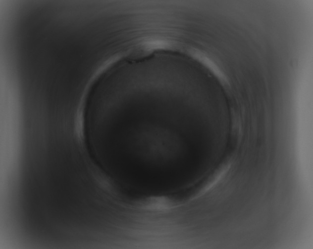 X0000101390391200807071202