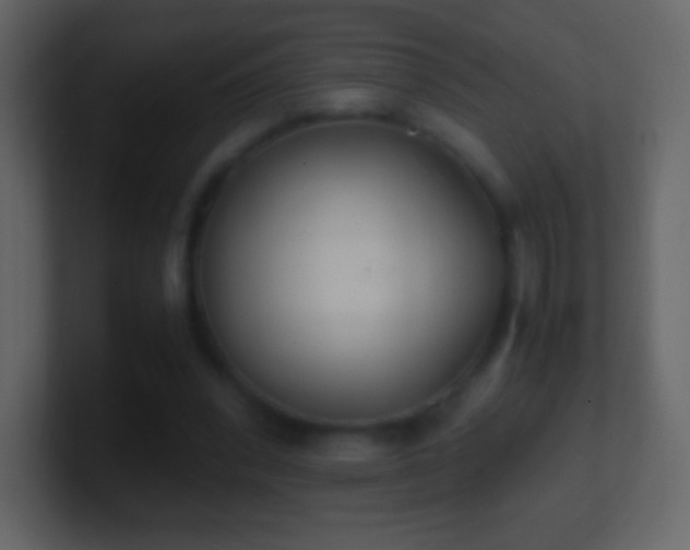 X0000101390392200807071202