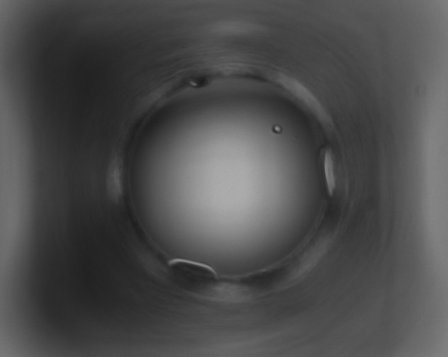 X0000101390393200807071202