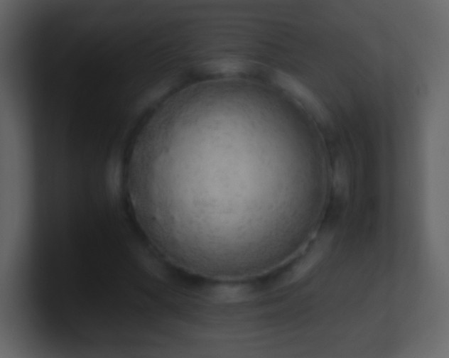 X0000101390394200807071202