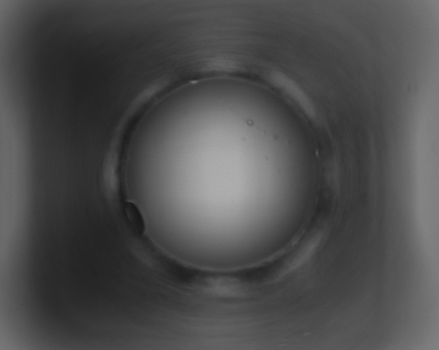 X0000101390395200807071202