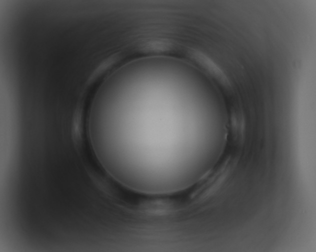 X0000101390396200807071202