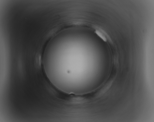 X0000101390397200807071202