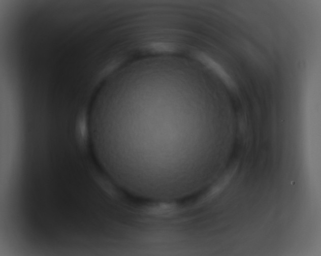 X0000101390398200807071202