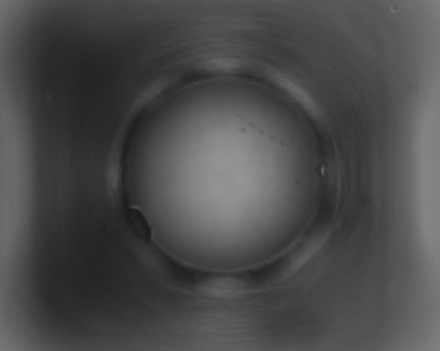 X0000101390399200807071202