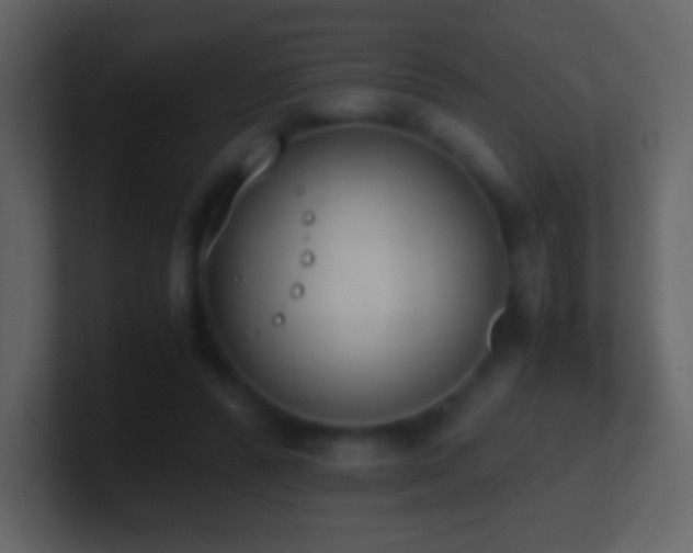 X0000101390400200807071202