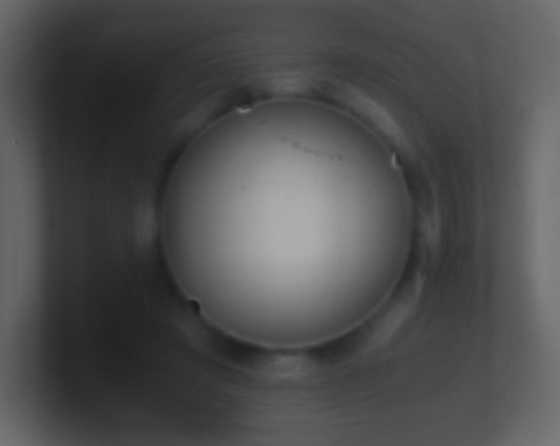 X0000101390401200807071202