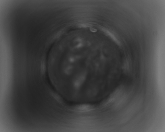 X0000101390402200807071202